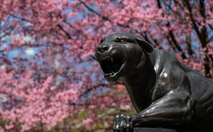 Pitt Panther in Spring