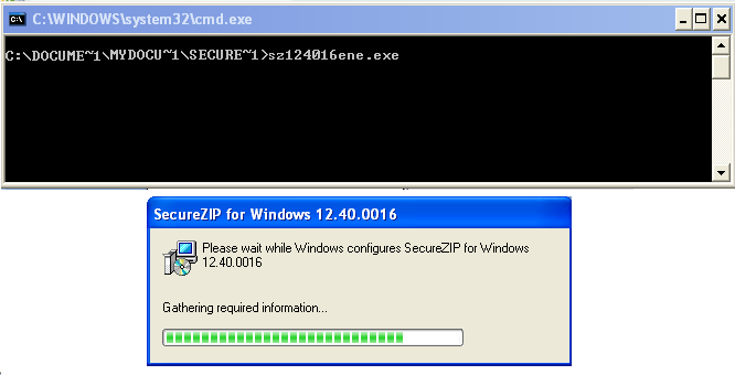 SecureZip install