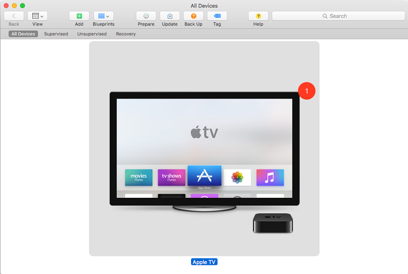 Apple TV Screenshot 5