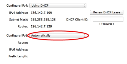 Network Adapter Settings