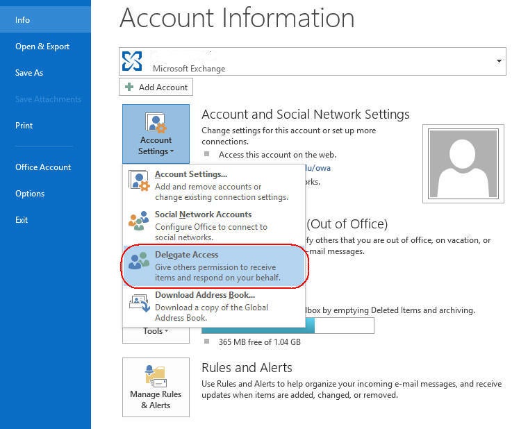 Outlook Setting Delegates versions 2003 2007 2010 And 2013 