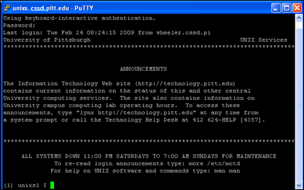 Unix Timesharing Window