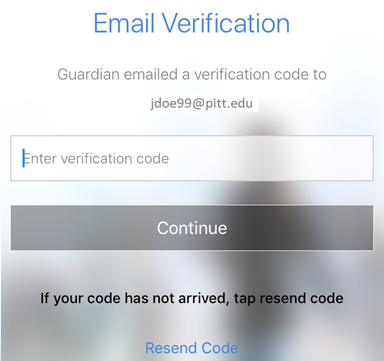 Verify your email