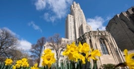 Spring on campus